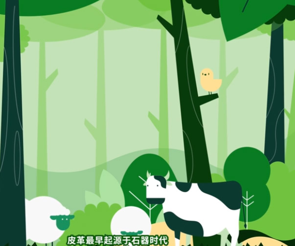 流程介绍MG动画